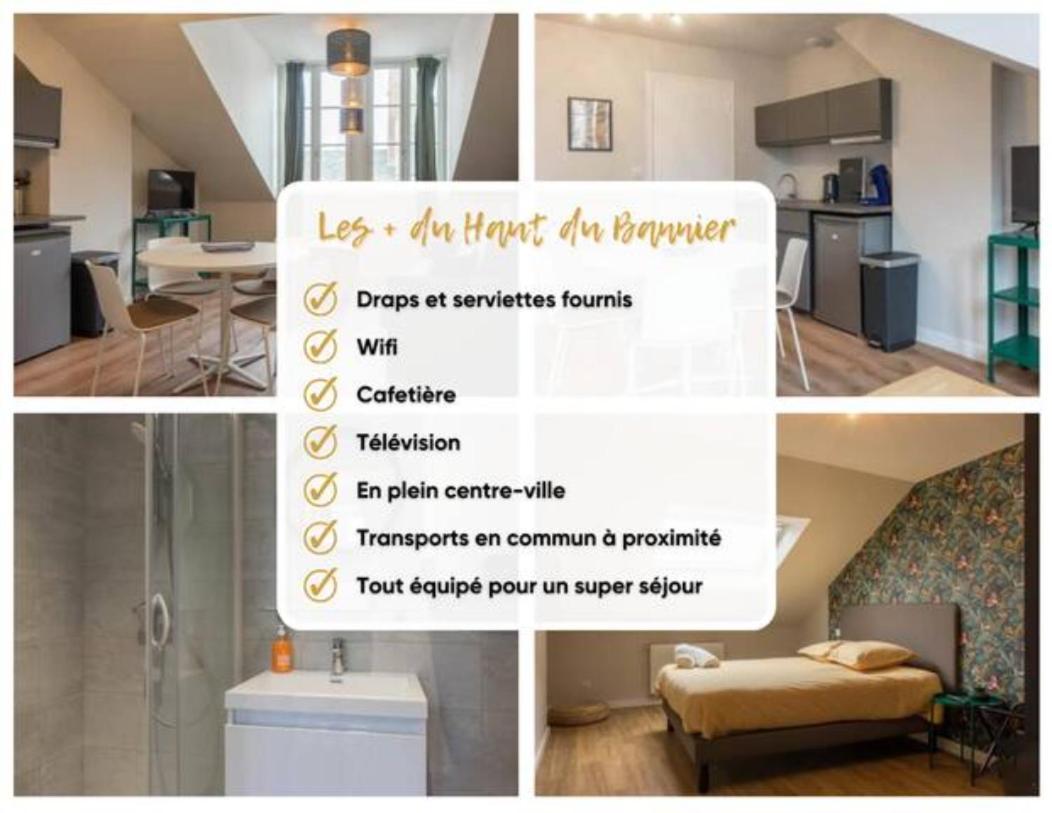 Le Haut Du Bannier * T2 * Hyper Centre * Wifi * Leilighet Orléans Eksteriør bilde